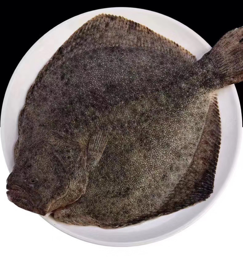 新鲜多宝鱼大鲮鮃冰鲜比目鱼鲽鱼鸦片鱼