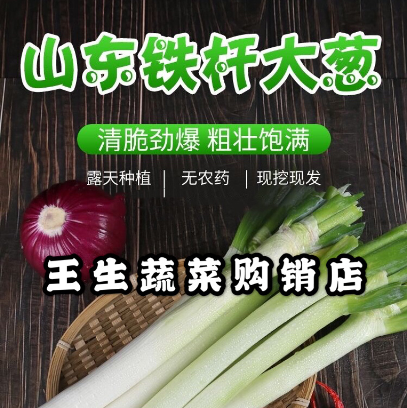 精品铁杆大葱质量好走市场做加工质量有保证诚信经营