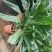 青铁，好货，好货，好货
