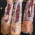 【精品】鲜活皮皮虾带膏虾婆虾姑濑尿虾保活可视频看货