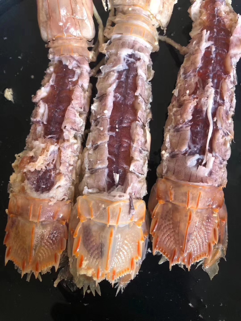 【精品】鲜活皮皮虾带膏虾婆虾姑濑尿虾保活可视频看货