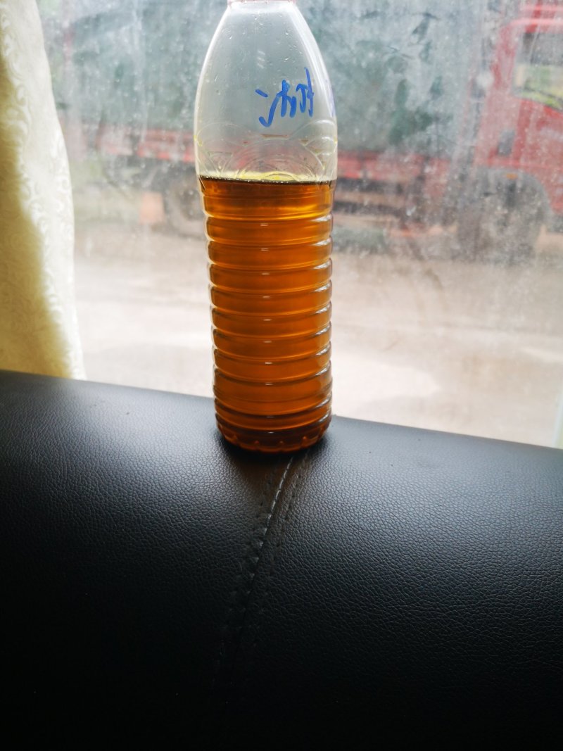 出售湖北菜籽