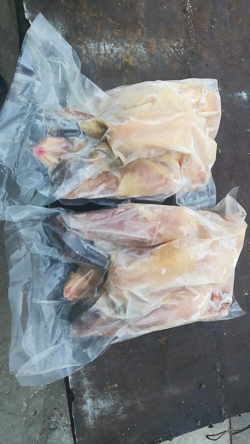 白条鸡