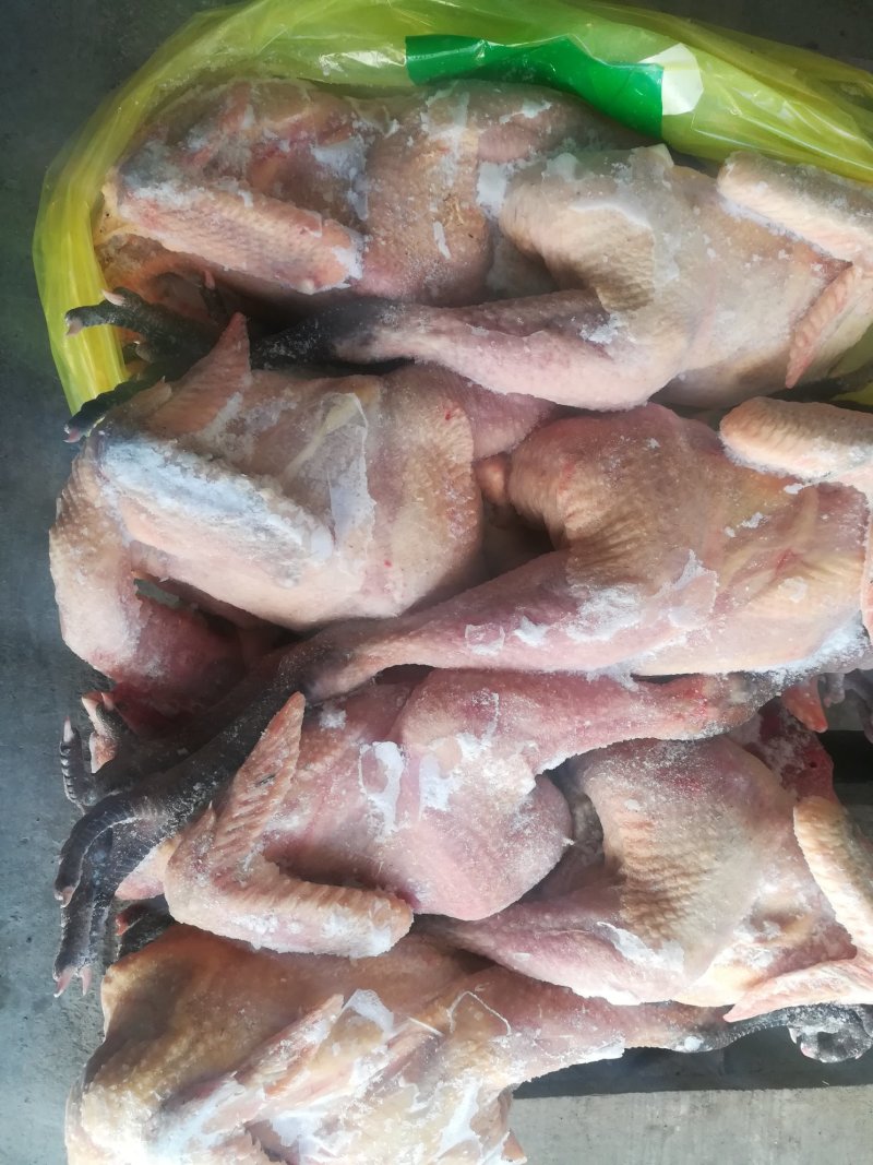 白条鸡