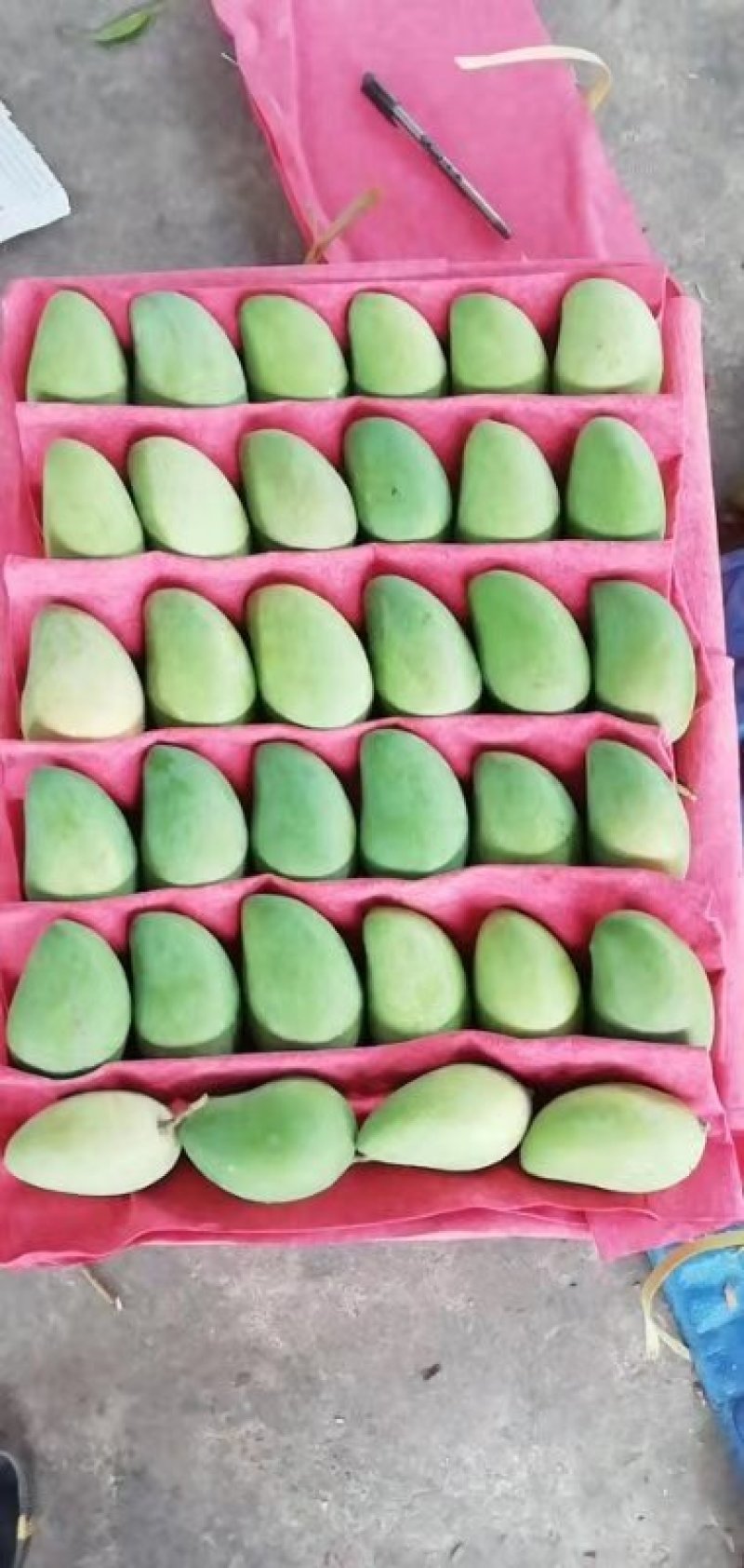 妃子笑，小台芒，小贵妃