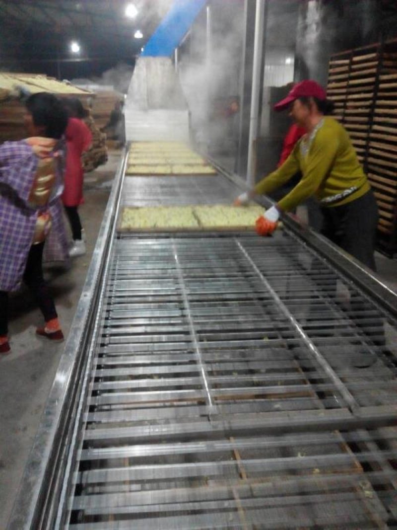 2020年新花产地直供杭白菊朵花药用朵花头采精选货