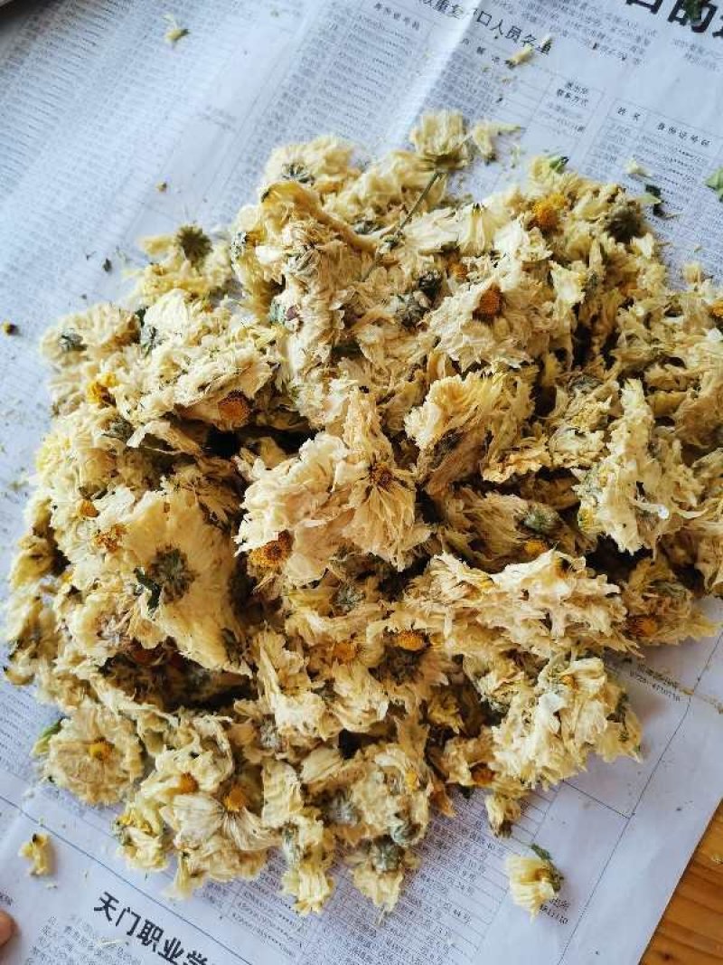 2020年新花产地直供杭白菊朵花药用朵花头采精选货