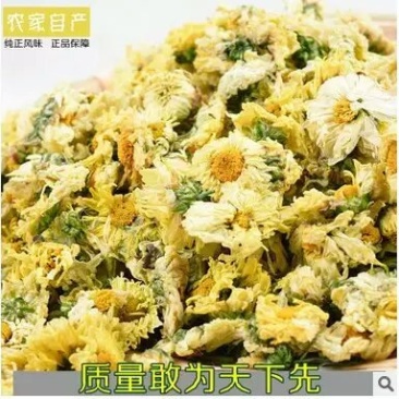 2020年新花产地直供杭白菊朵花药用朵花头采精选货