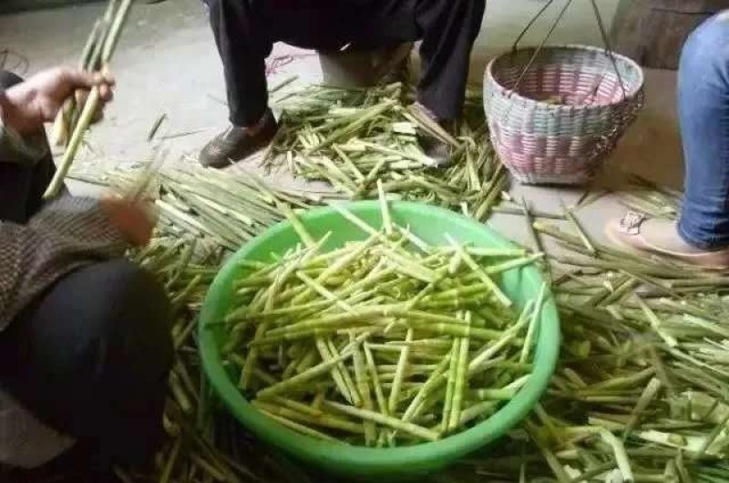 大山天然鲜嫩小竹笋。