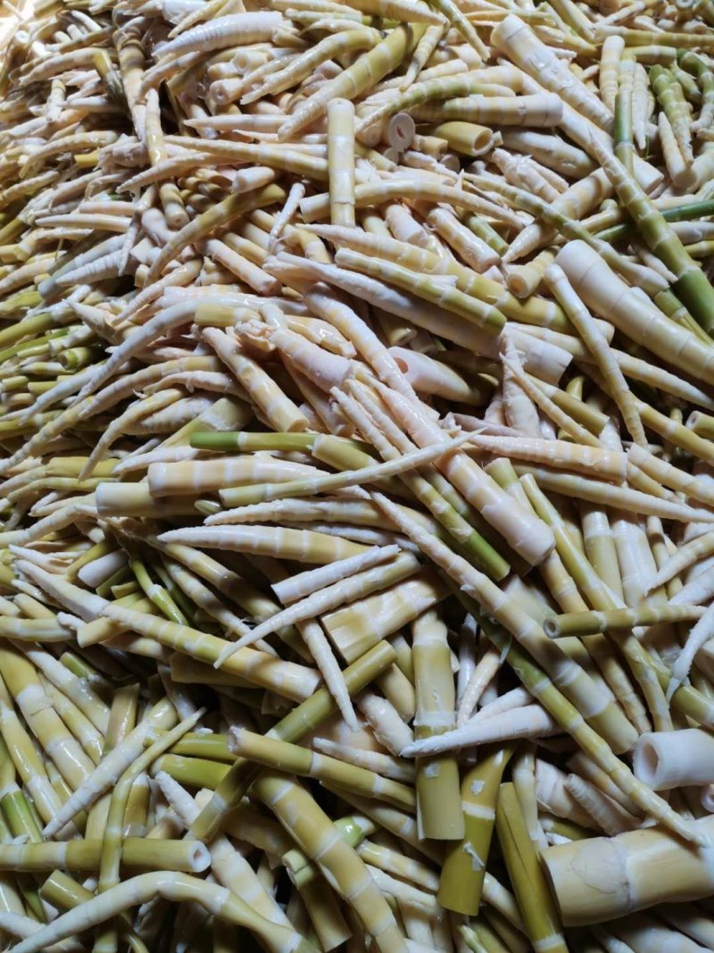 大山天然鲜嫩小竹笋。