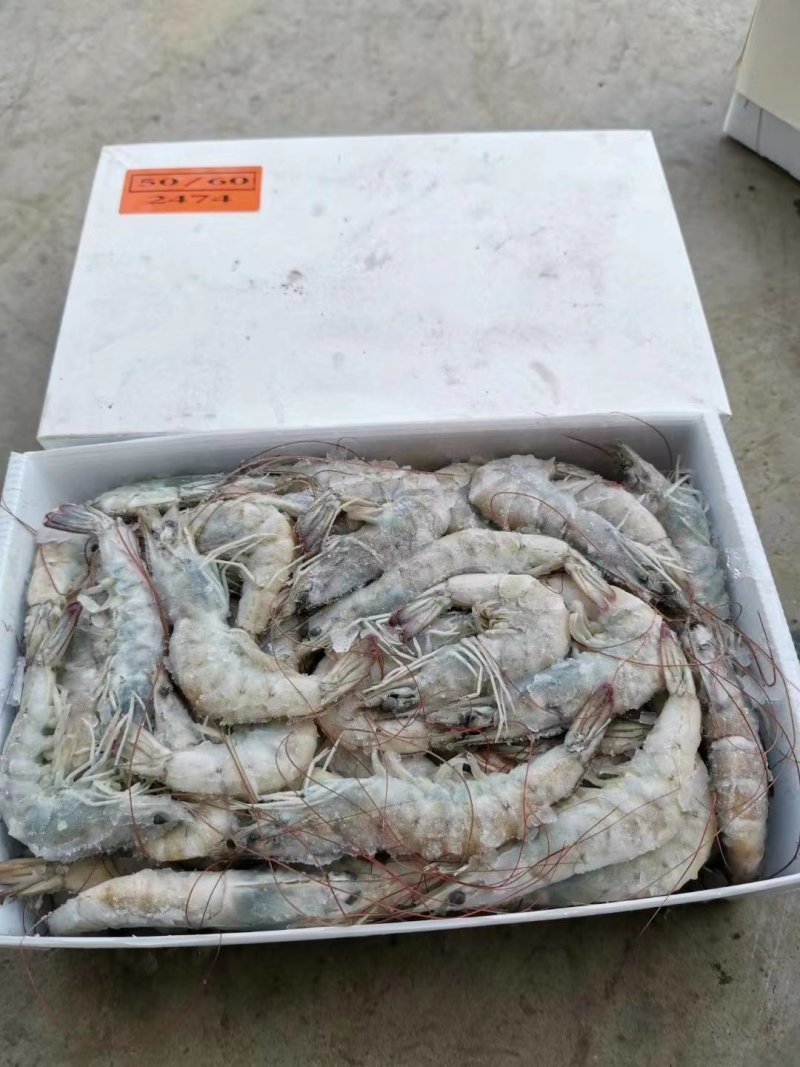 盐冻大虾30.40