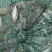 泥猛土池养殖。