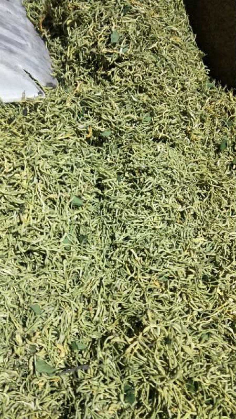 金银花特干好货，没有杂质