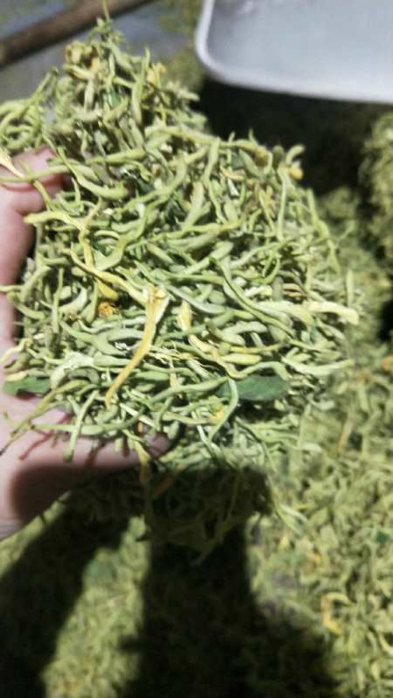 金银花特干好货，没有杂质