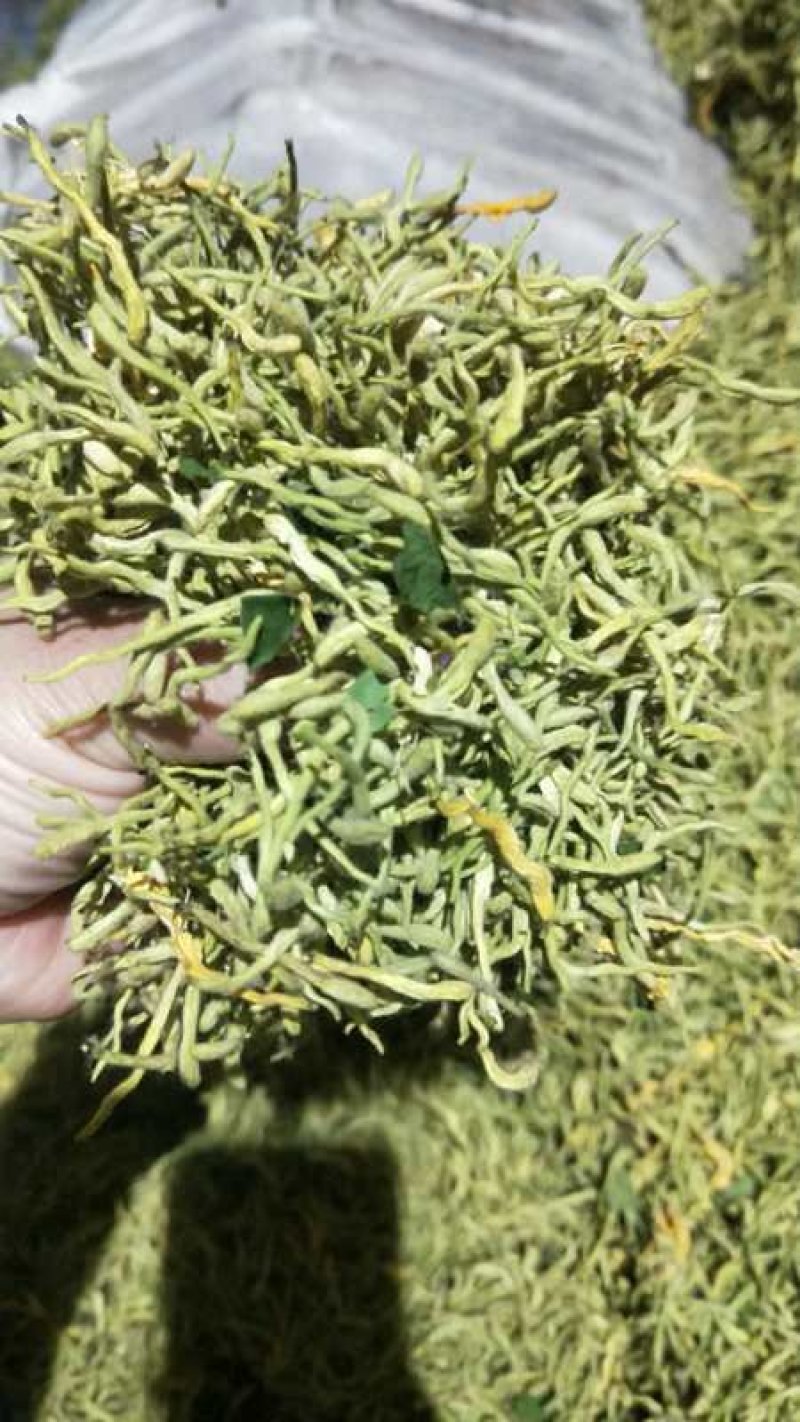 金银花特干好货，没有杂质
