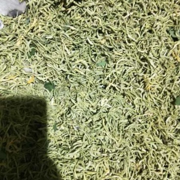 金银花特干好货,没有杂质