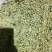 金银花特干好货,没有杂质