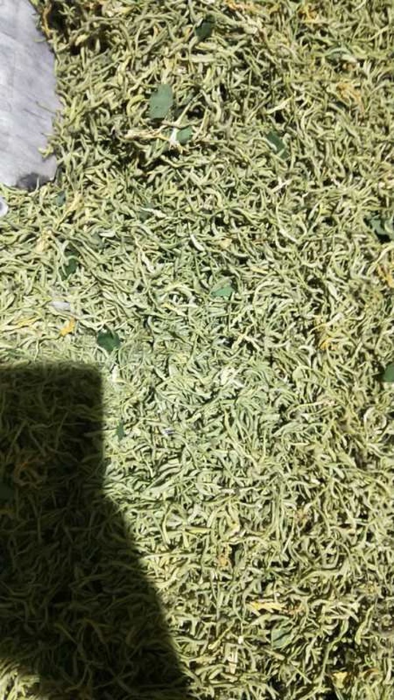 金银花特干好货，没有杂质