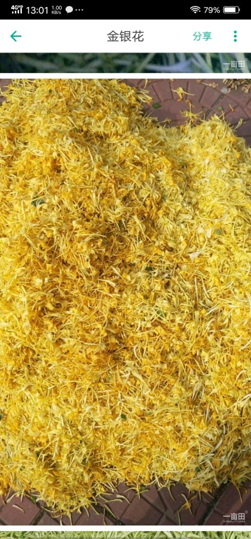 金银花特干好货，没有杂质