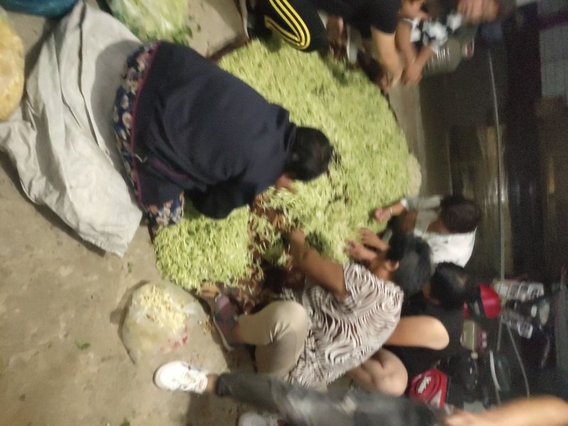 金银花特干好货，没有杂质
