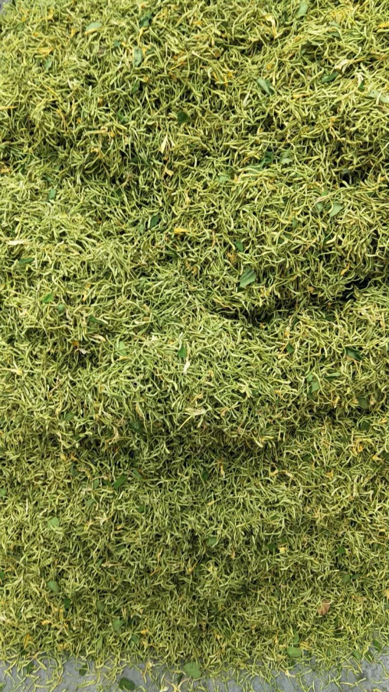 金银花特干好货，没有杂质
