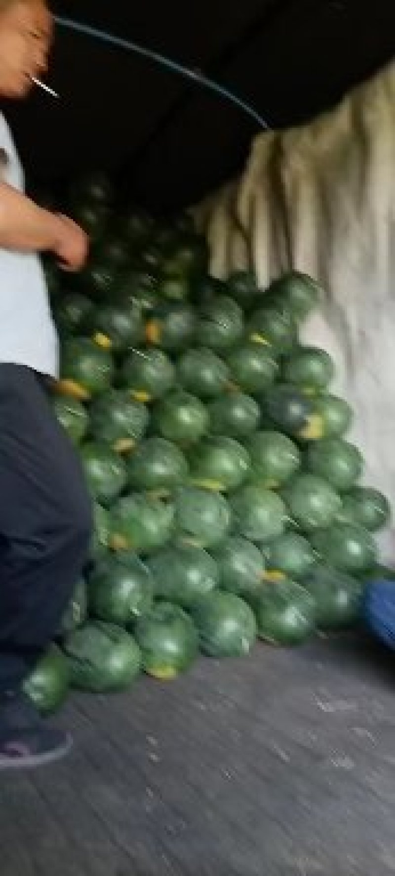 丰乐一西瓜