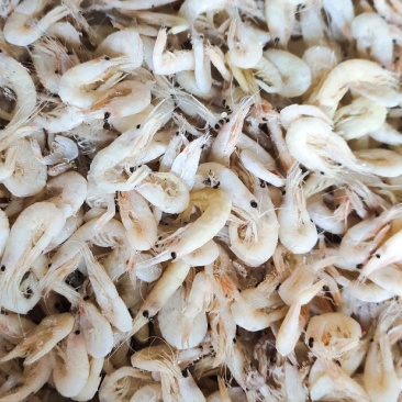 钩子虾，