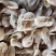 钩子虾，