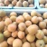 金太阳，杏。