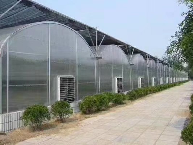 厂家直销，连体大棚，外遮阳，方便实用价格实惠，量大送货！