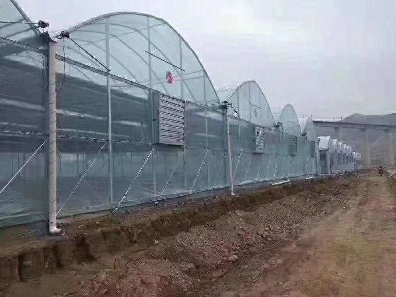 厂家直销，连体大棚，外遮阳，方便实用价格实惠，量大送货！