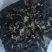 木耳青川小木耳东北毛木耳大量现货可上门验货价格美丽