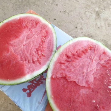 夏县甜蜜蜜西瓜