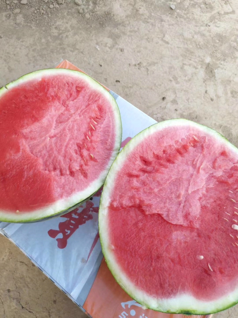 夏县甜蜜蜜西瓜