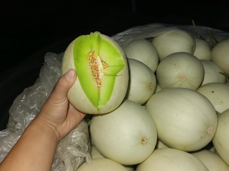 精品玉姑/精品甜瓜香瓜，专业对接超市采购.电商.批发市场