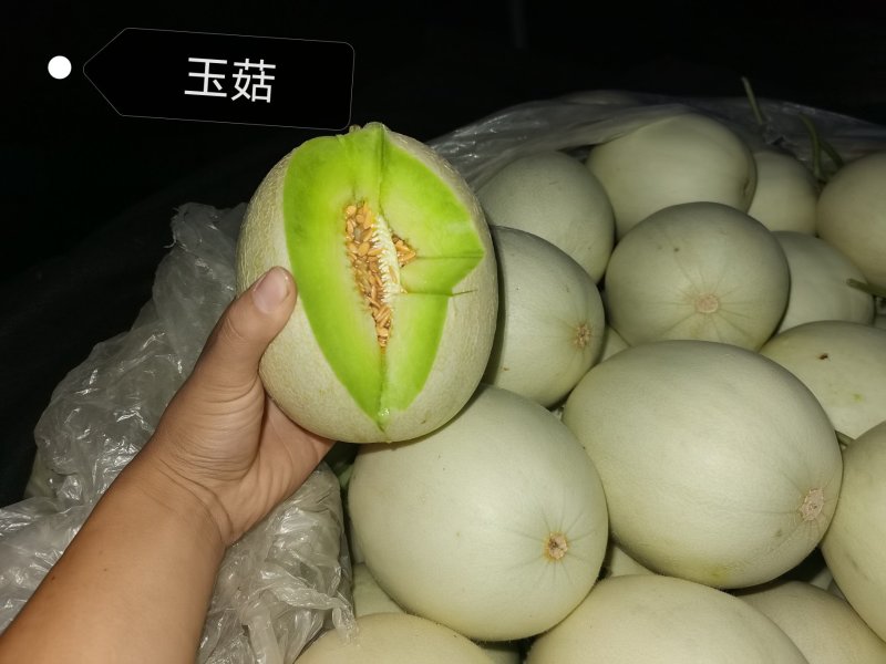 精品玉姑/精品甜瓜香瓜，专业对接超市采购.电商.批发市场