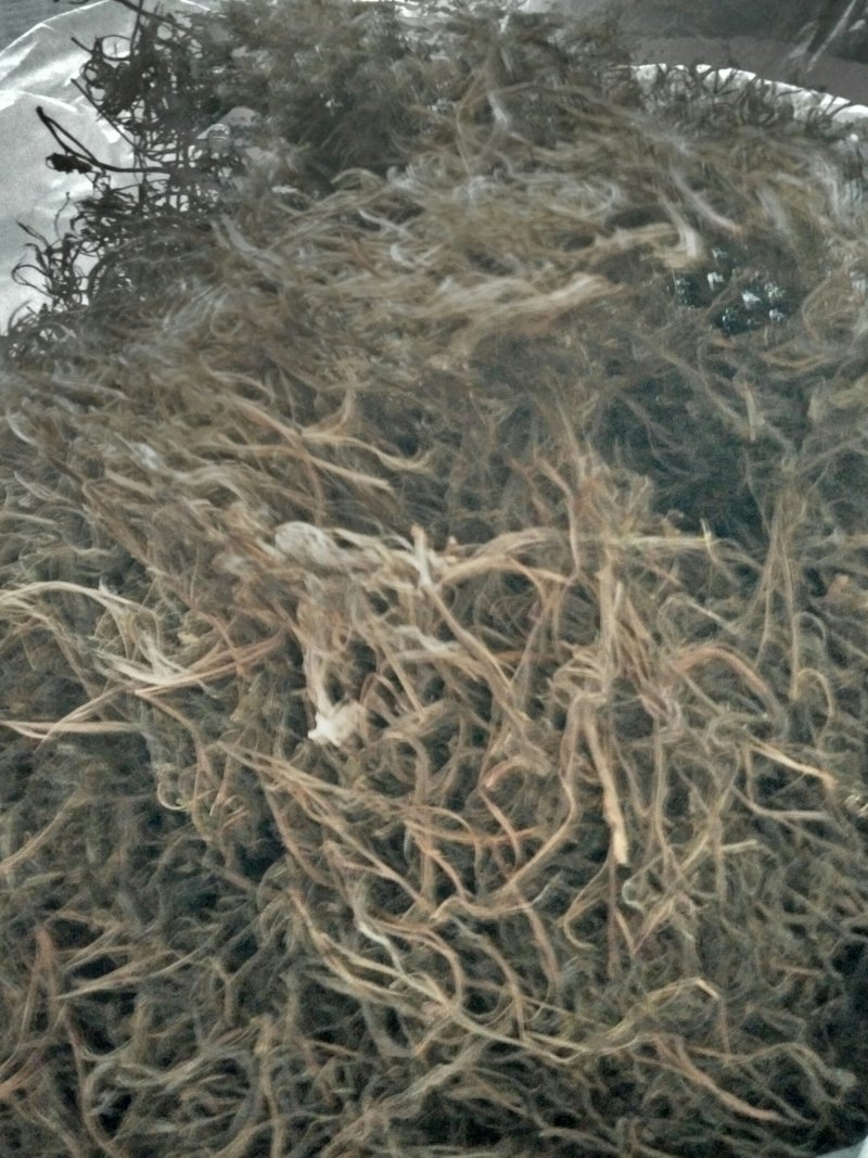 黄丽牙茶