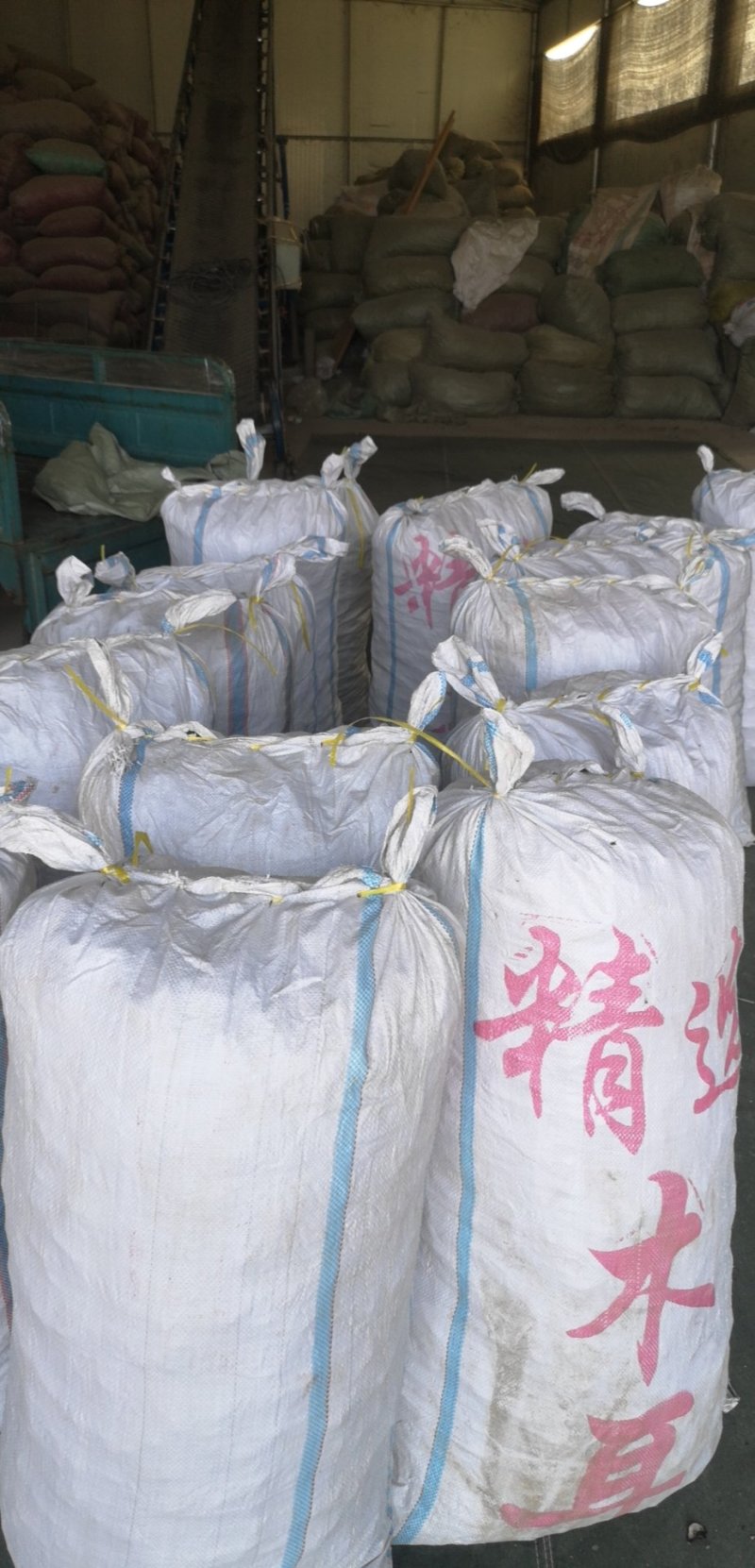 白背黑木耳毛木耳水洗头茬当季新货剪头去根量大从优
