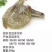 进口虾