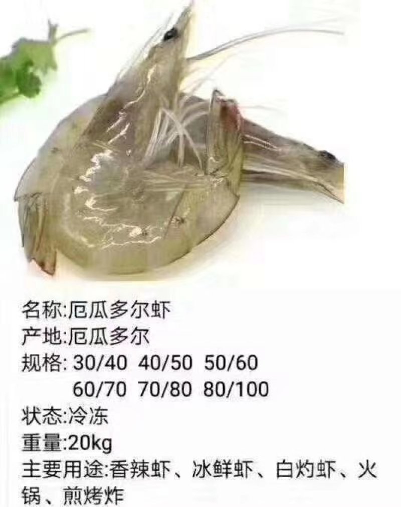 进口虾