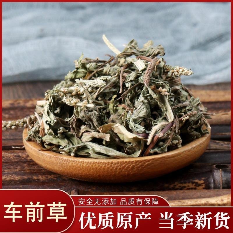 车前草正品无硫熏干净无杂一公斤包邮