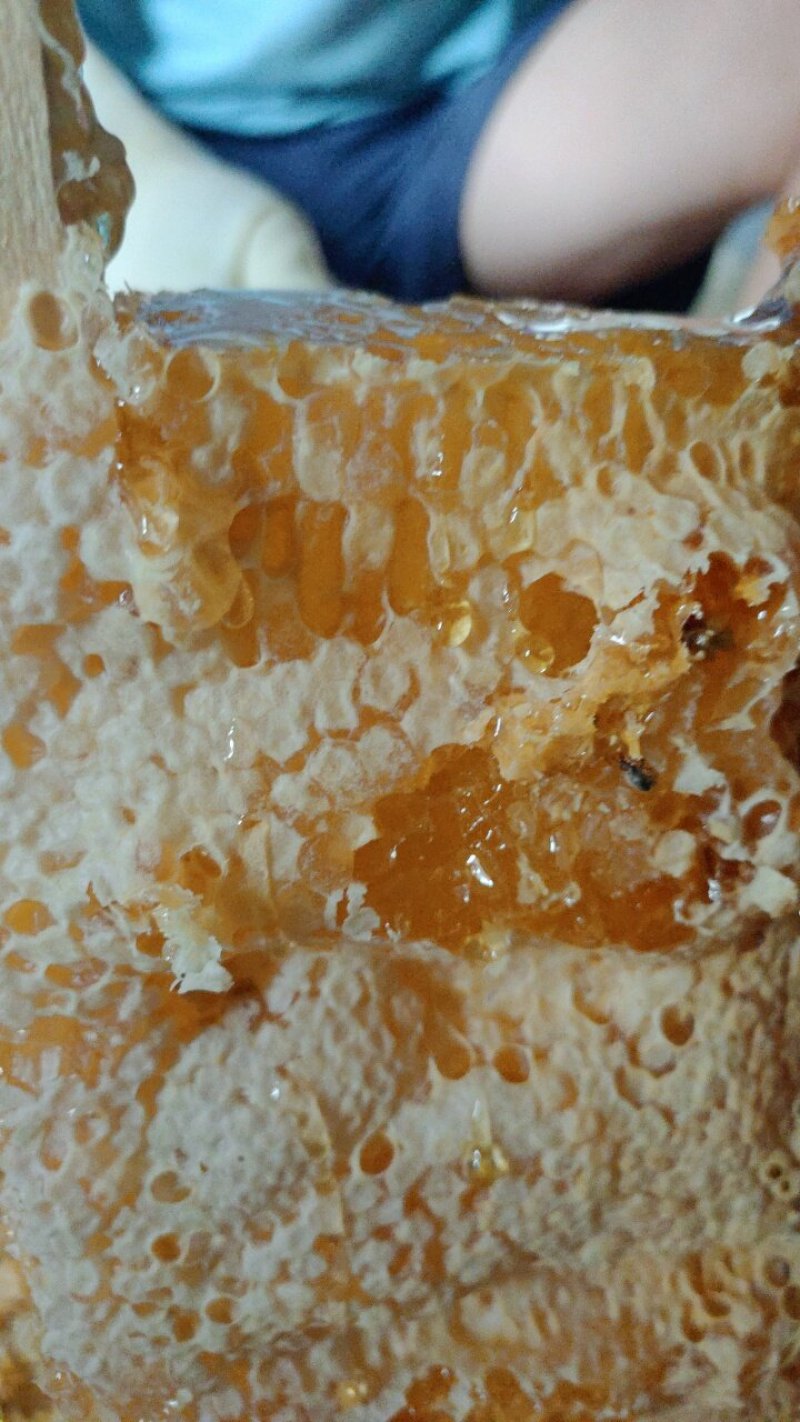 蜂巢蜜云南土蜂自然成熟