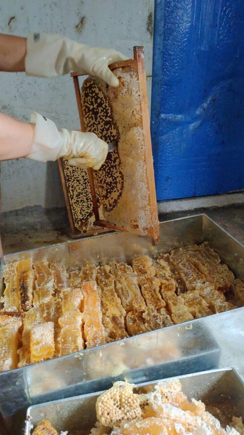 蜂巢蜜云南土蜂自然成熟