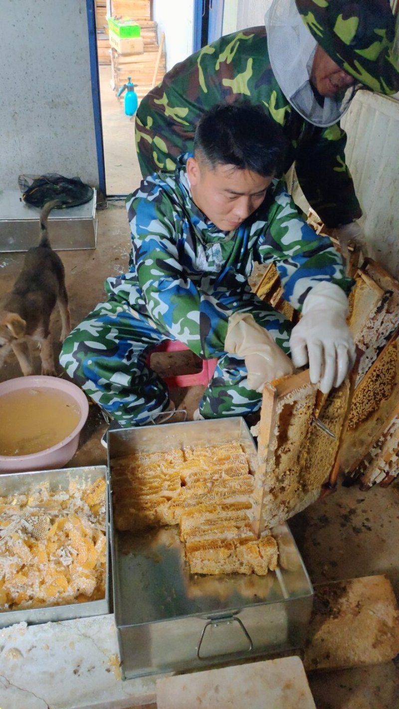 蜂巢蜜云南土蜂自然成熟