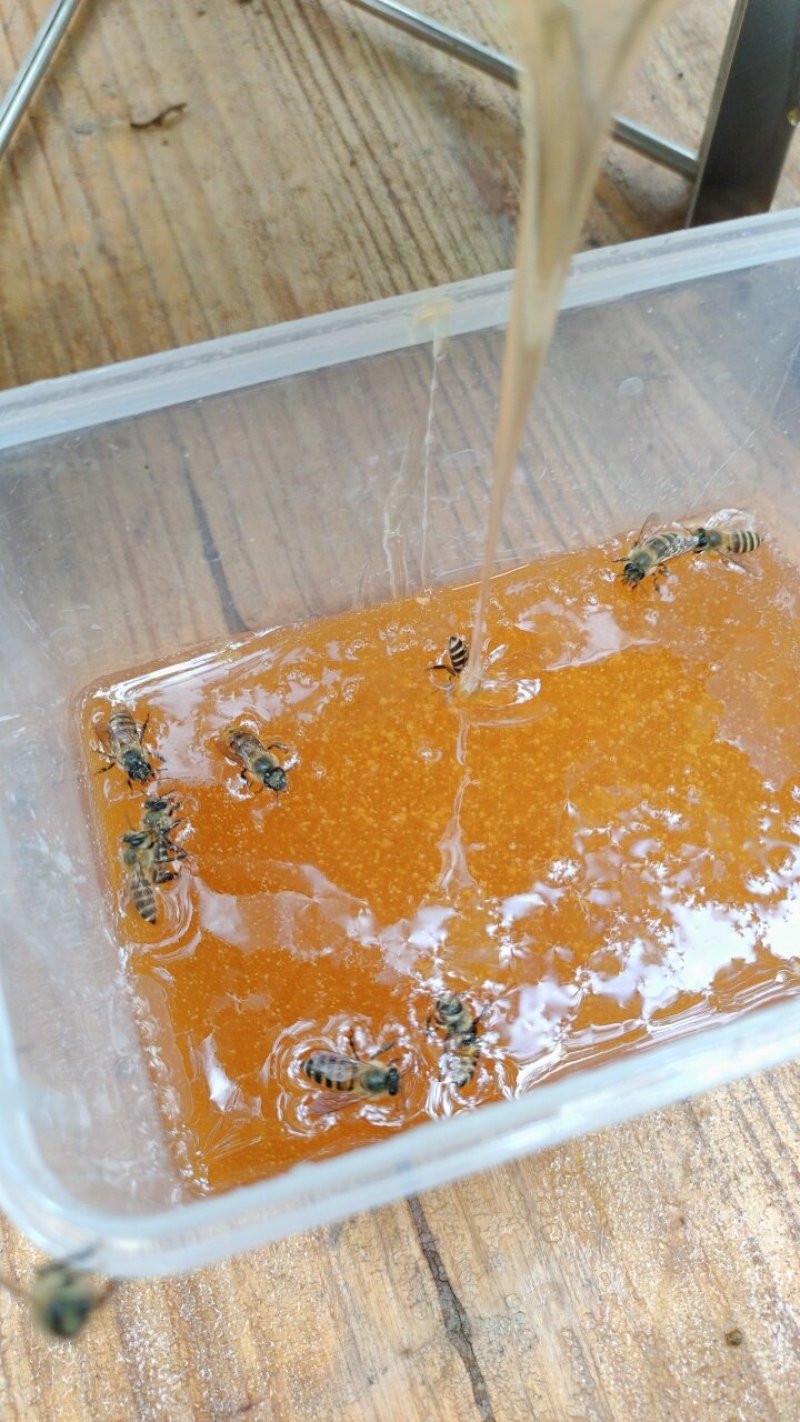 云南土蜂百花蜜