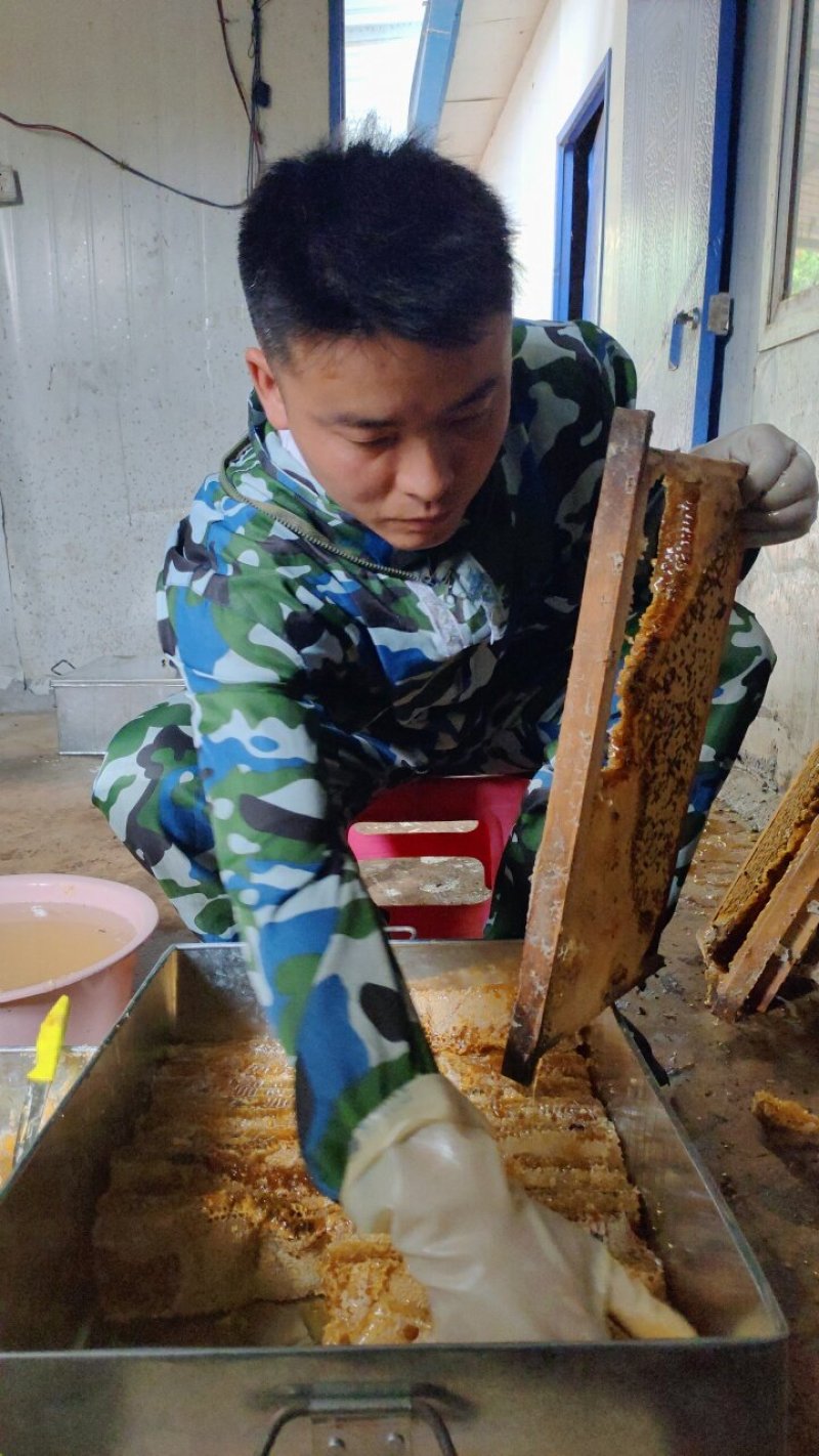 云南土蜂百花蜜