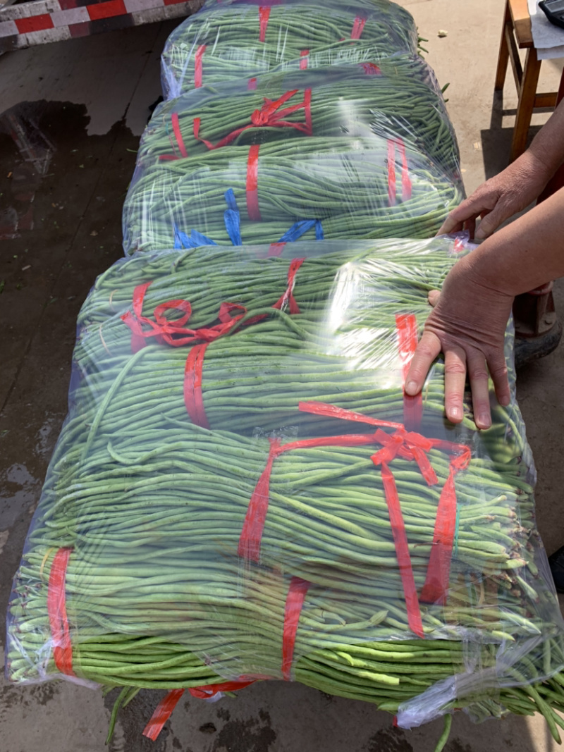 全年大量供应【超市专供】精品长豆角量大从优