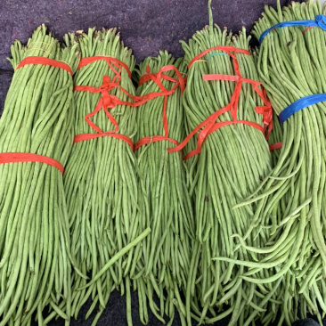 全年大量供应【超市专供】精品长豆角量大从优