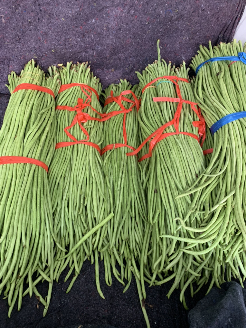 全年大量供应【超市专供】精品长豆角量大从优