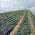 种植大棚骨架蔬菜养殖大棚温室暖棚全套配件